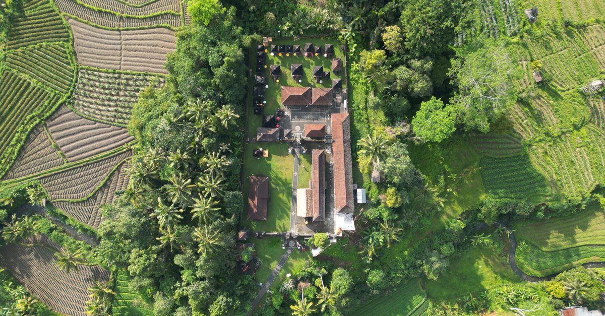 Bali rice terraces